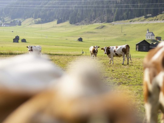 Hotel in Obertilliach – how a holiday should be. Hotel in Obertilliach – how a holiday should be.