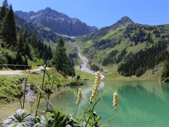 Sommerurlaub in Osttirol: Jetzt erleben! Sommerurlaub in Osttirol: Jetzt erleben!