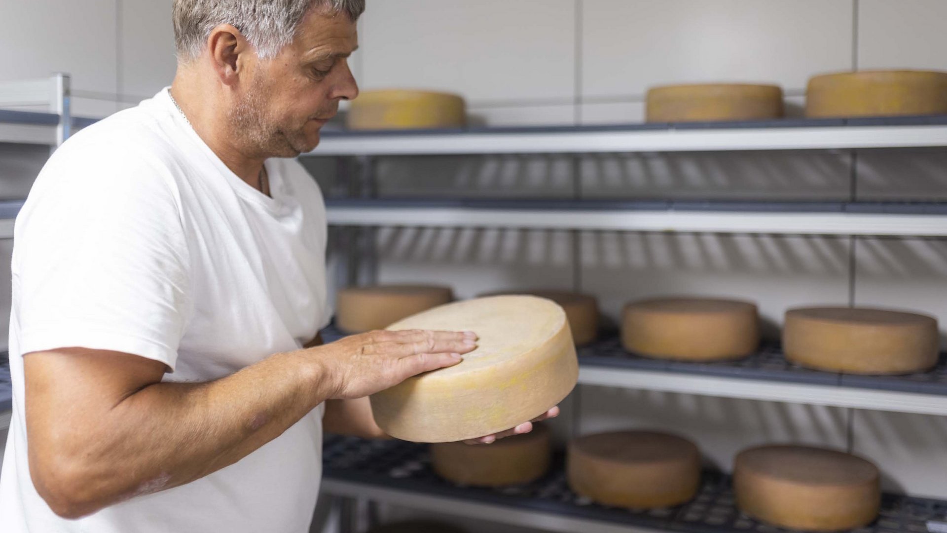 Cheese dairy meets farm in Obertilliach