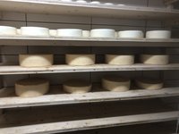 Cheese dairy meets farm in Obertilliach Cheese dairy meets farm in Obertilliach
